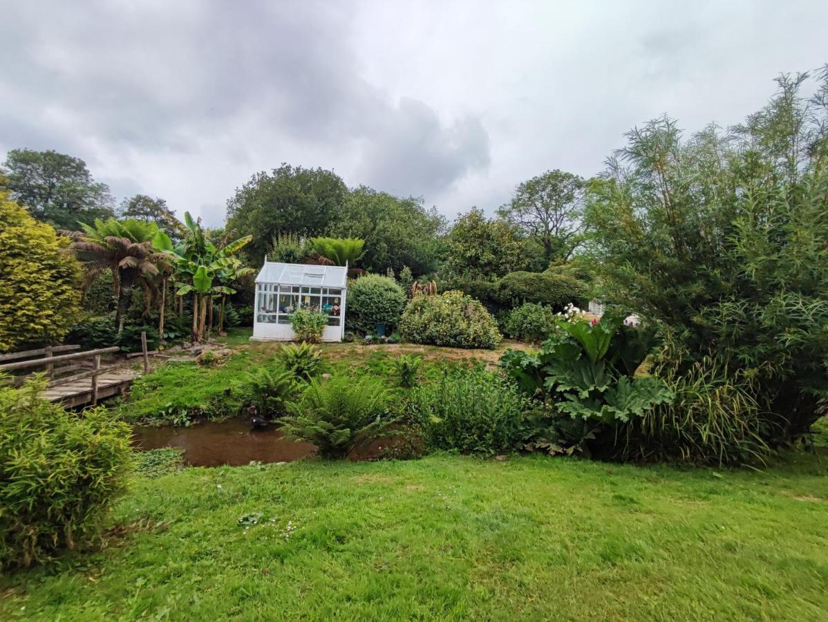 فيلا Tree Fern Barn سانت أوستيل المظهر الخارجي الصورة