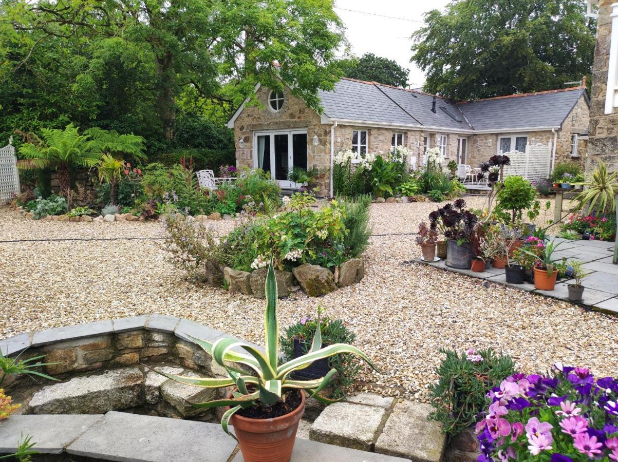 فيلا Tree Fern Barn سانت أوستيل المظهر الخارجي الصورة